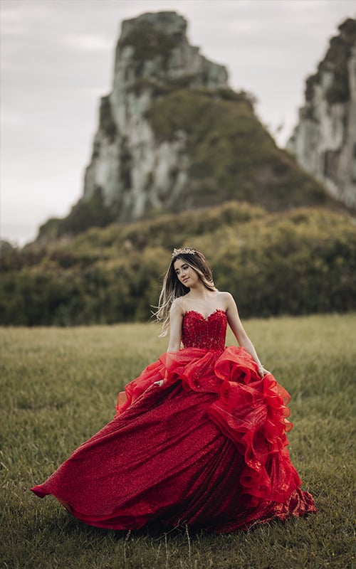 Vestidos de 15 anos Organze, by Estilista Alessandra Dias