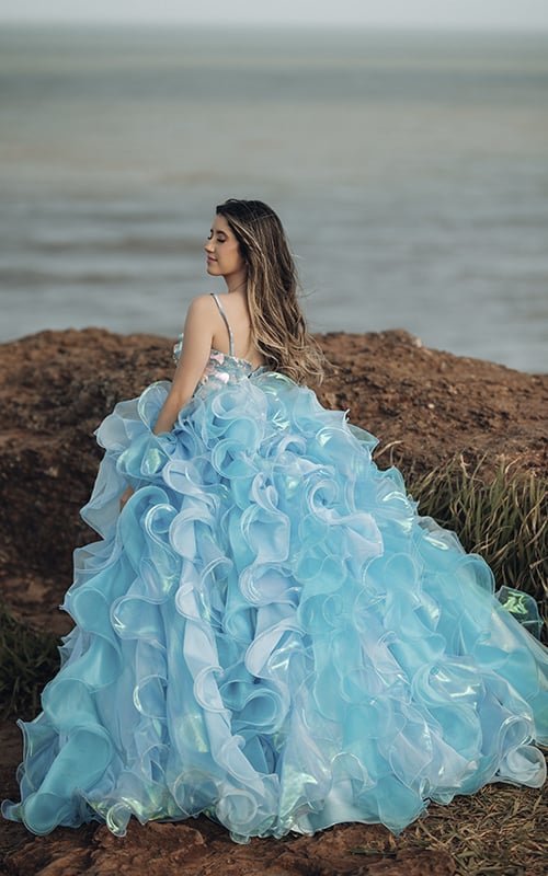 Vestidos de 15 anos Organze, by Estilista Alessandra Dias